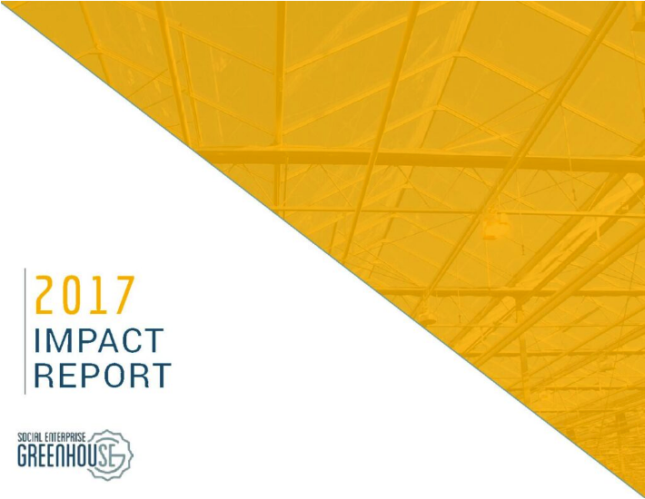 2017 Impact Report