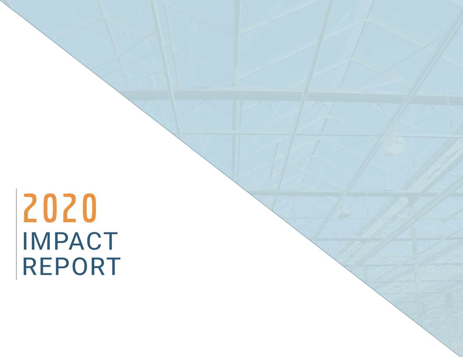 2020 Impact Report